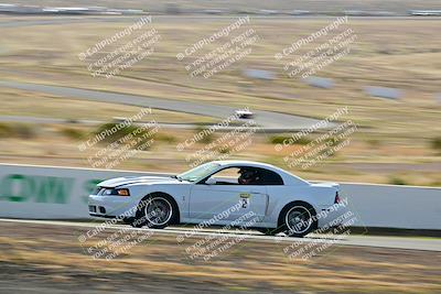 media/Mar-22-2025-West Coast Racing (Sat) [[0d49b412c8]]/Yellow Group/Session 1 (Turn 4-Exterior)/